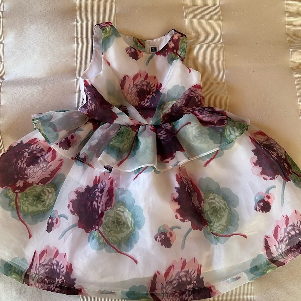 Janie and Jack beautiful lined dress 2T